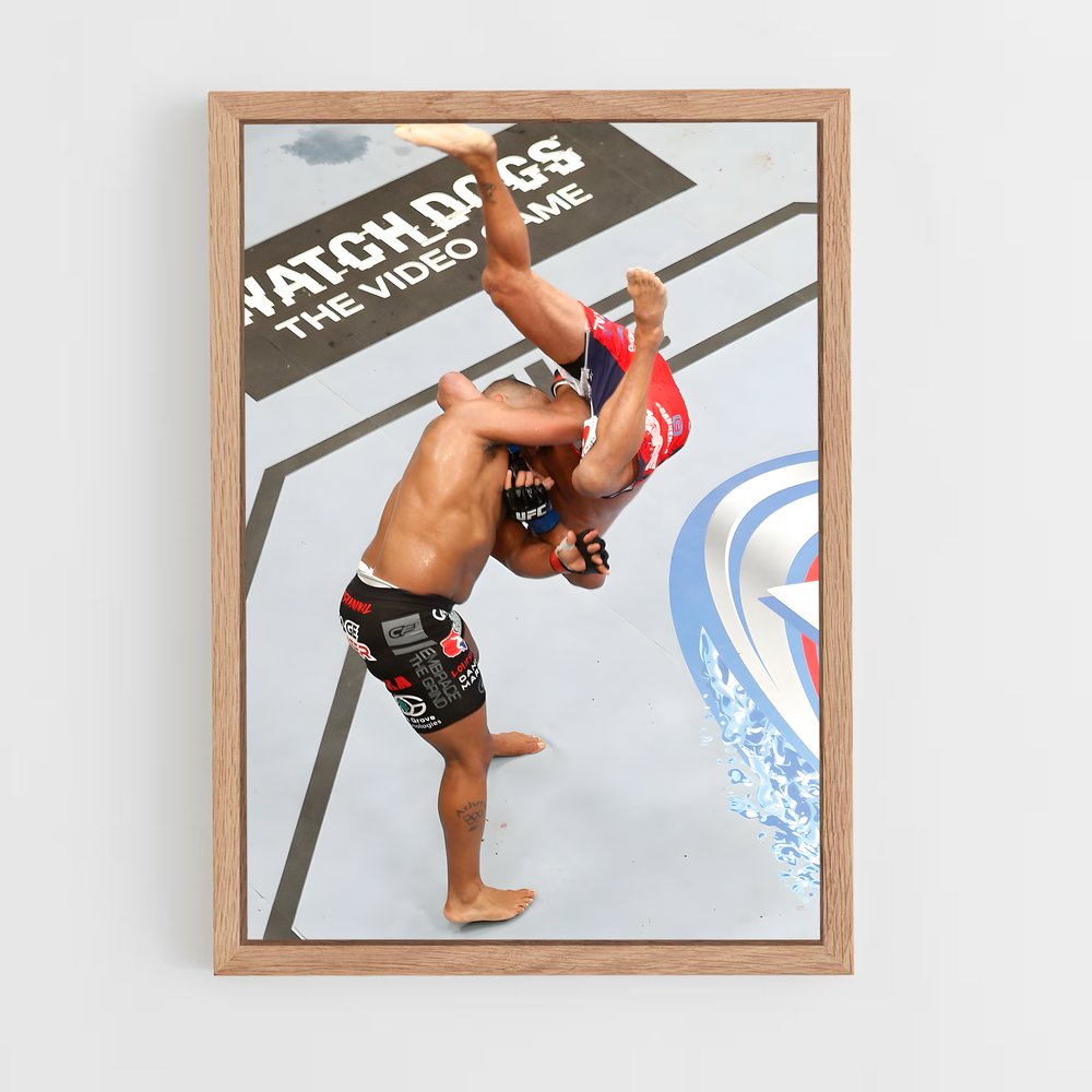 Poster Dan de henderson – affiche MMA (vue 4)